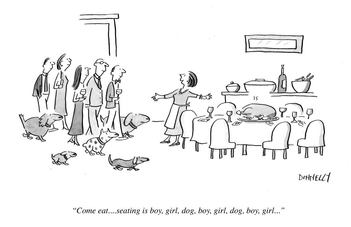 ny-dog-tgx image ny dog tgx