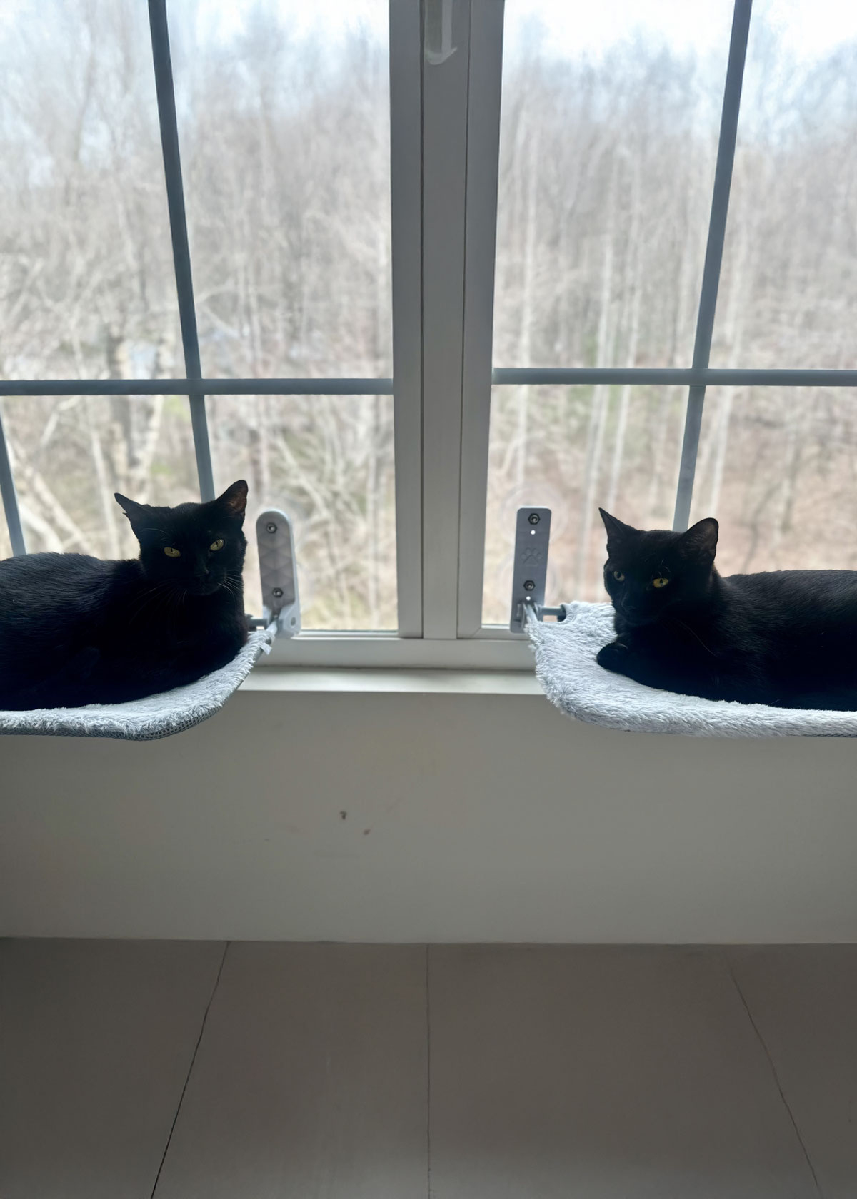Zaphod Beeblebrox and Pablano Pepper