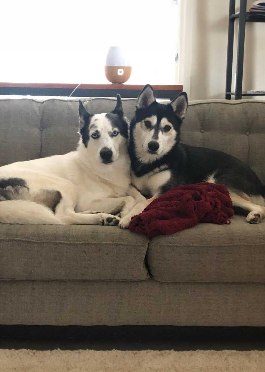 Soji and Yoko