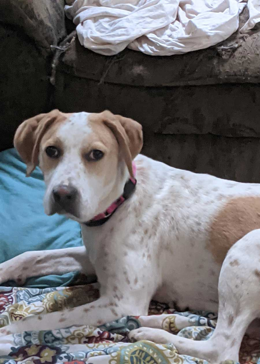 Hey there, Delilah!