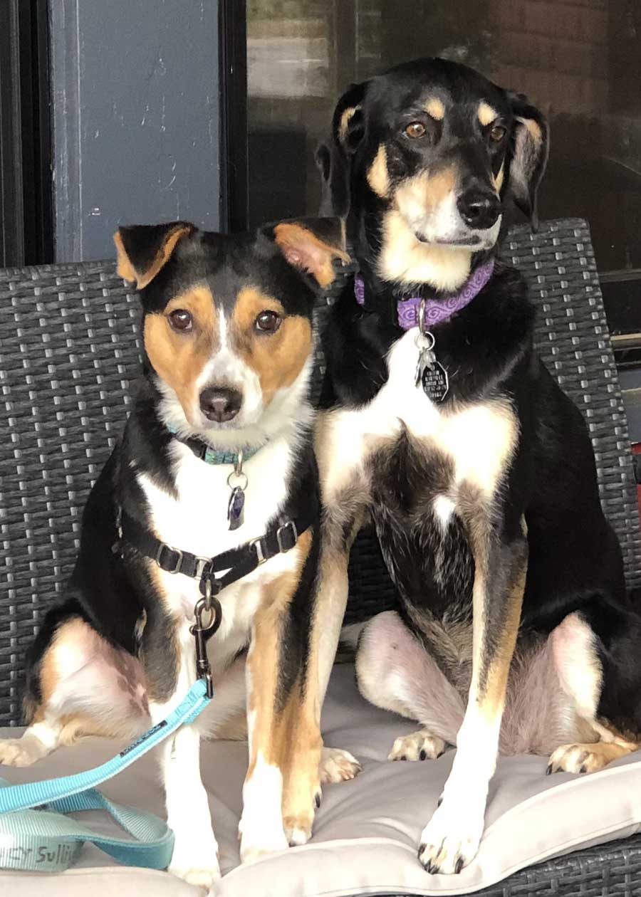 Lefty and Lucy