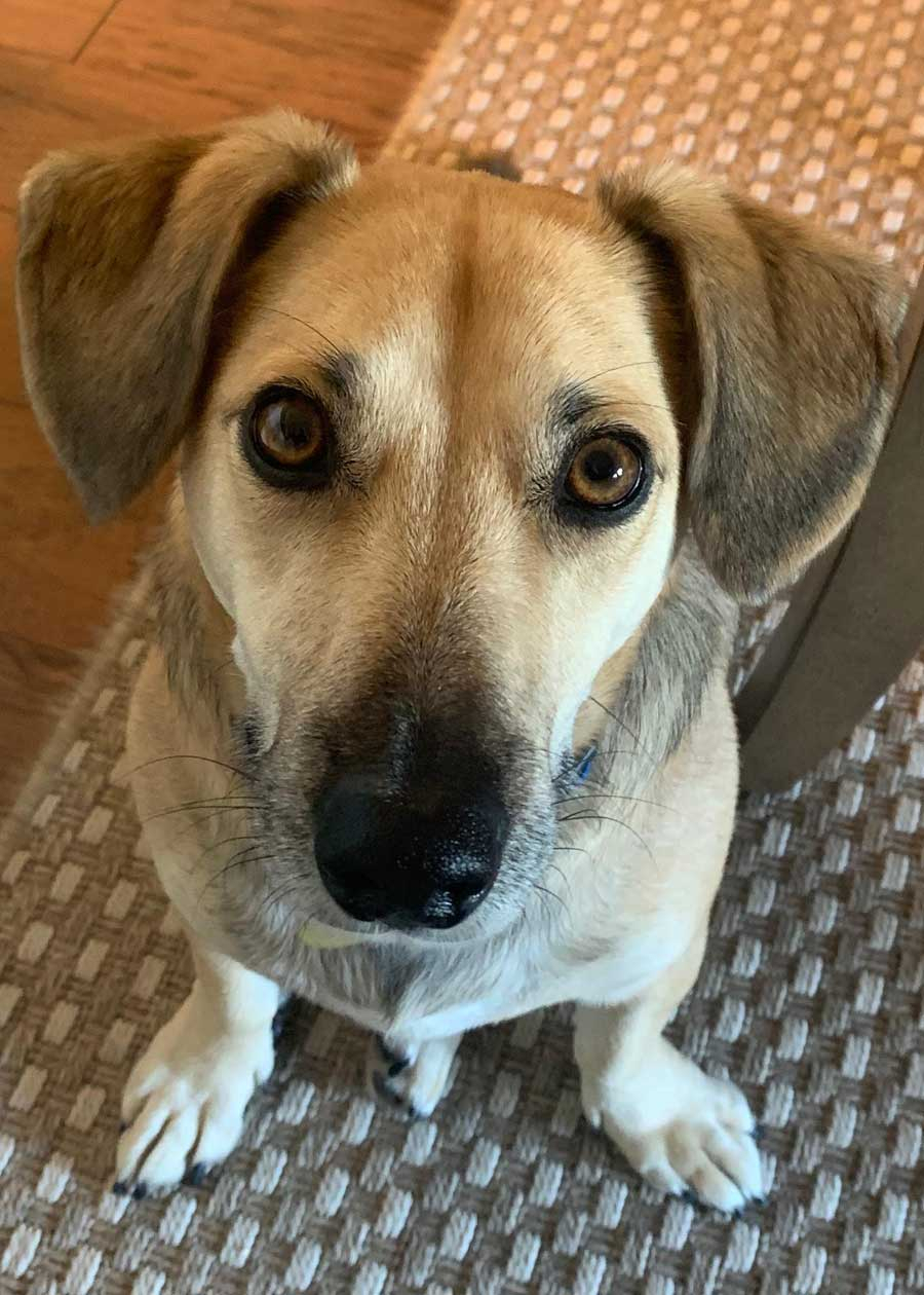 Cooper