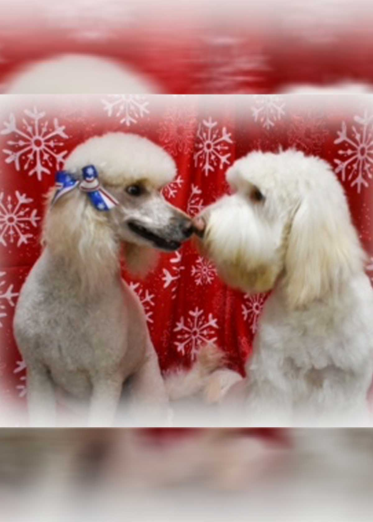 Zelda and Hank