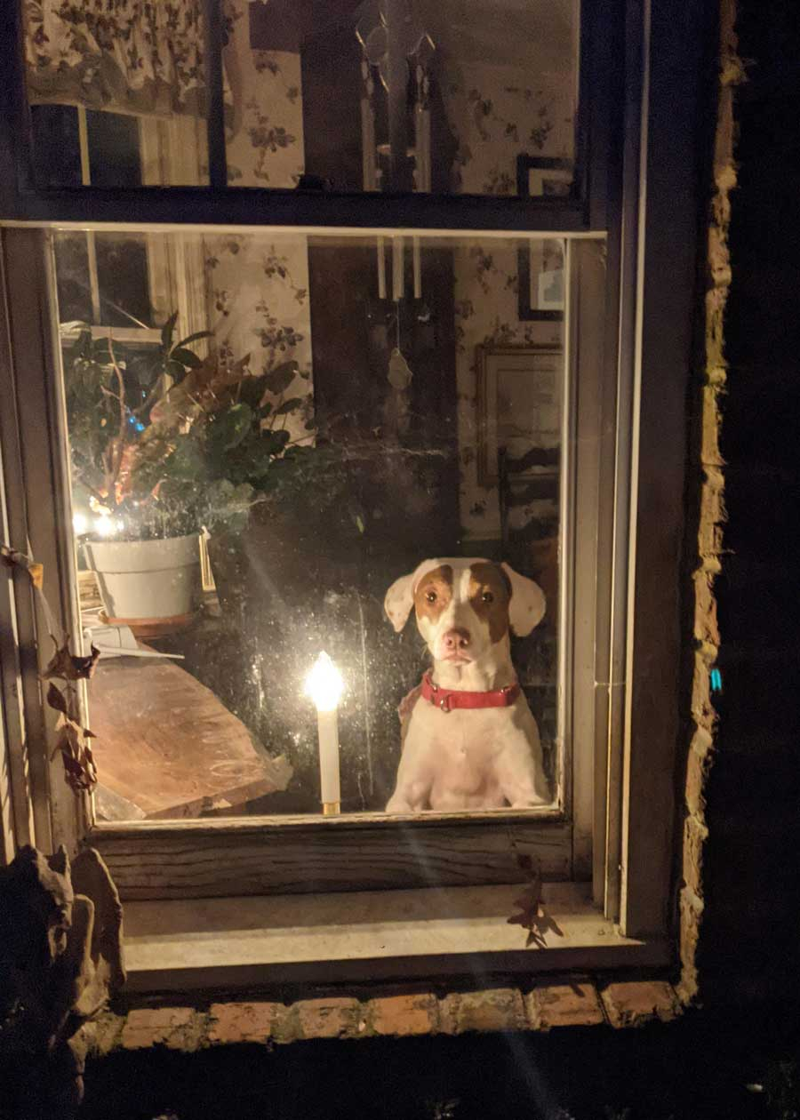Heidi