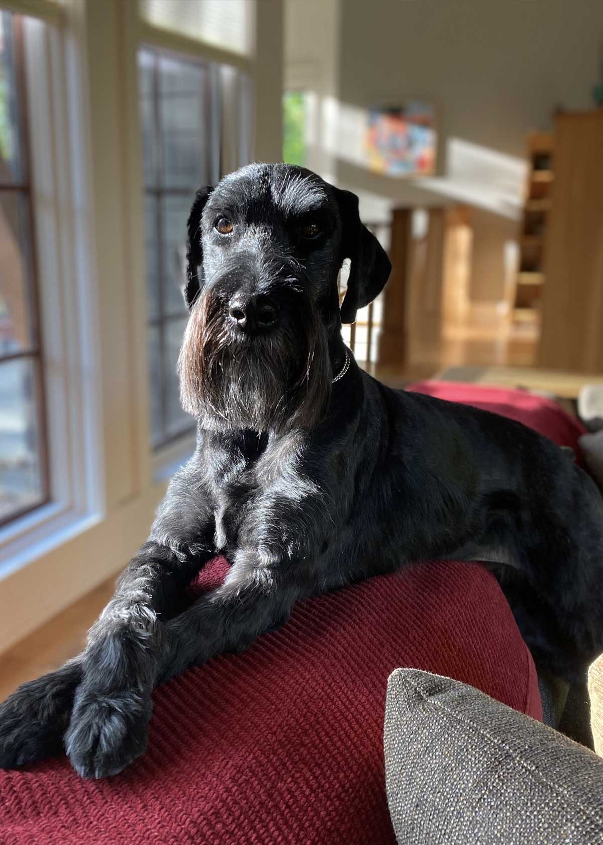 Augustus “Gus”