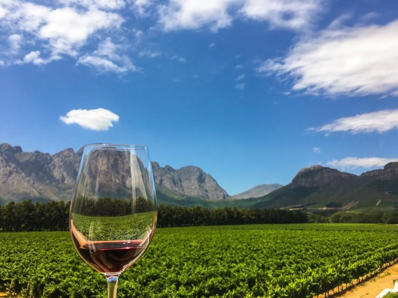 Affordable South African Wines: A Tasting Affordable South African Wines: A Tasting
