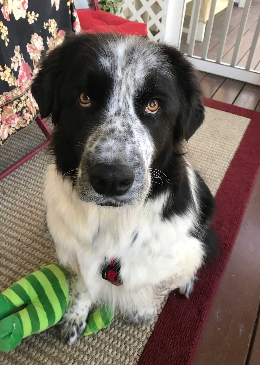 Jack