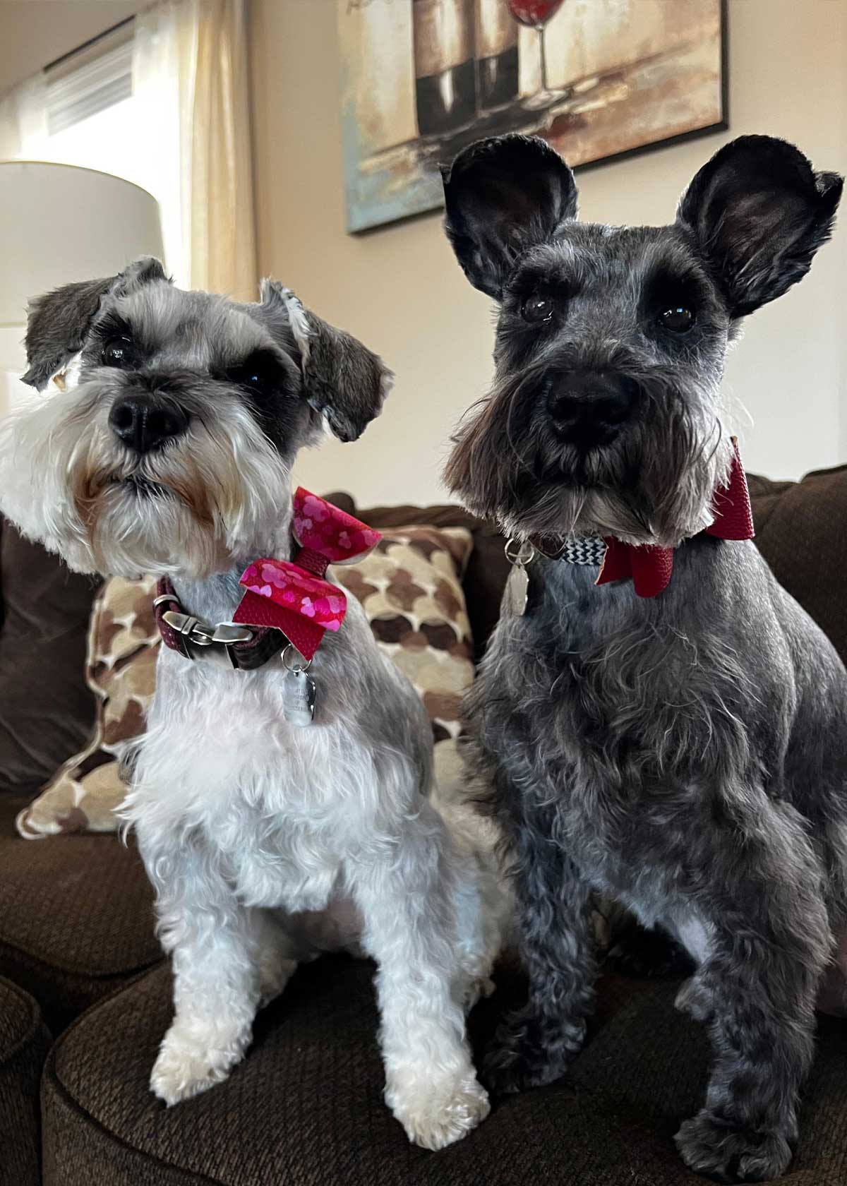Winston and Bailey