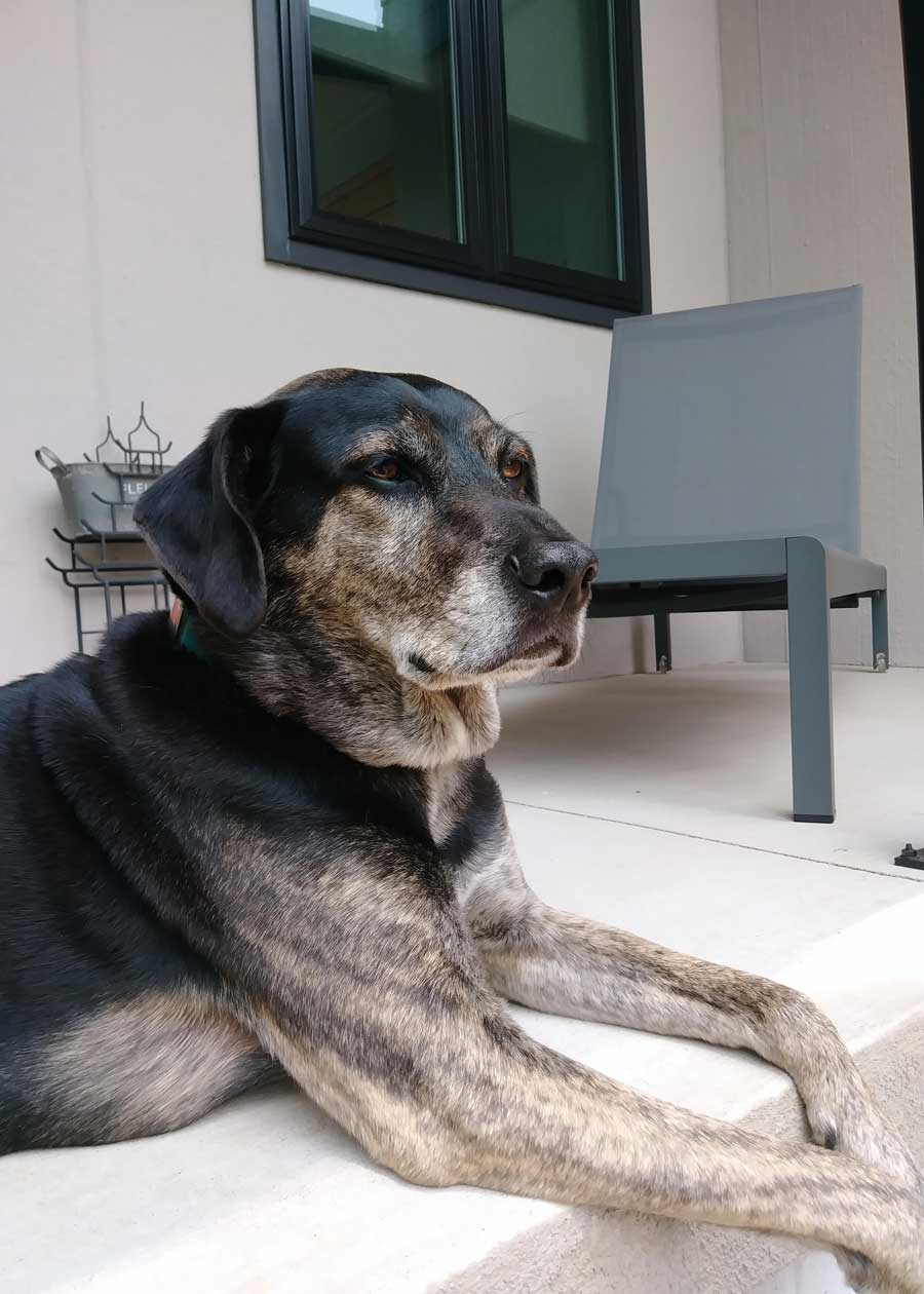 Max