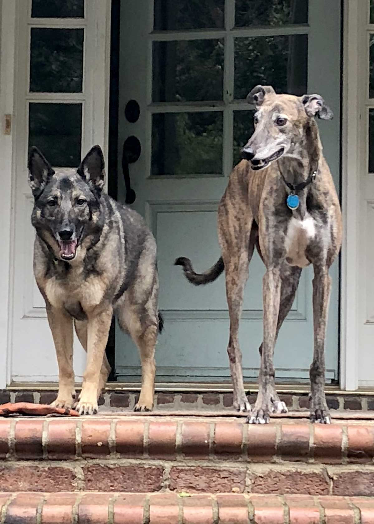 Marsh and Karma