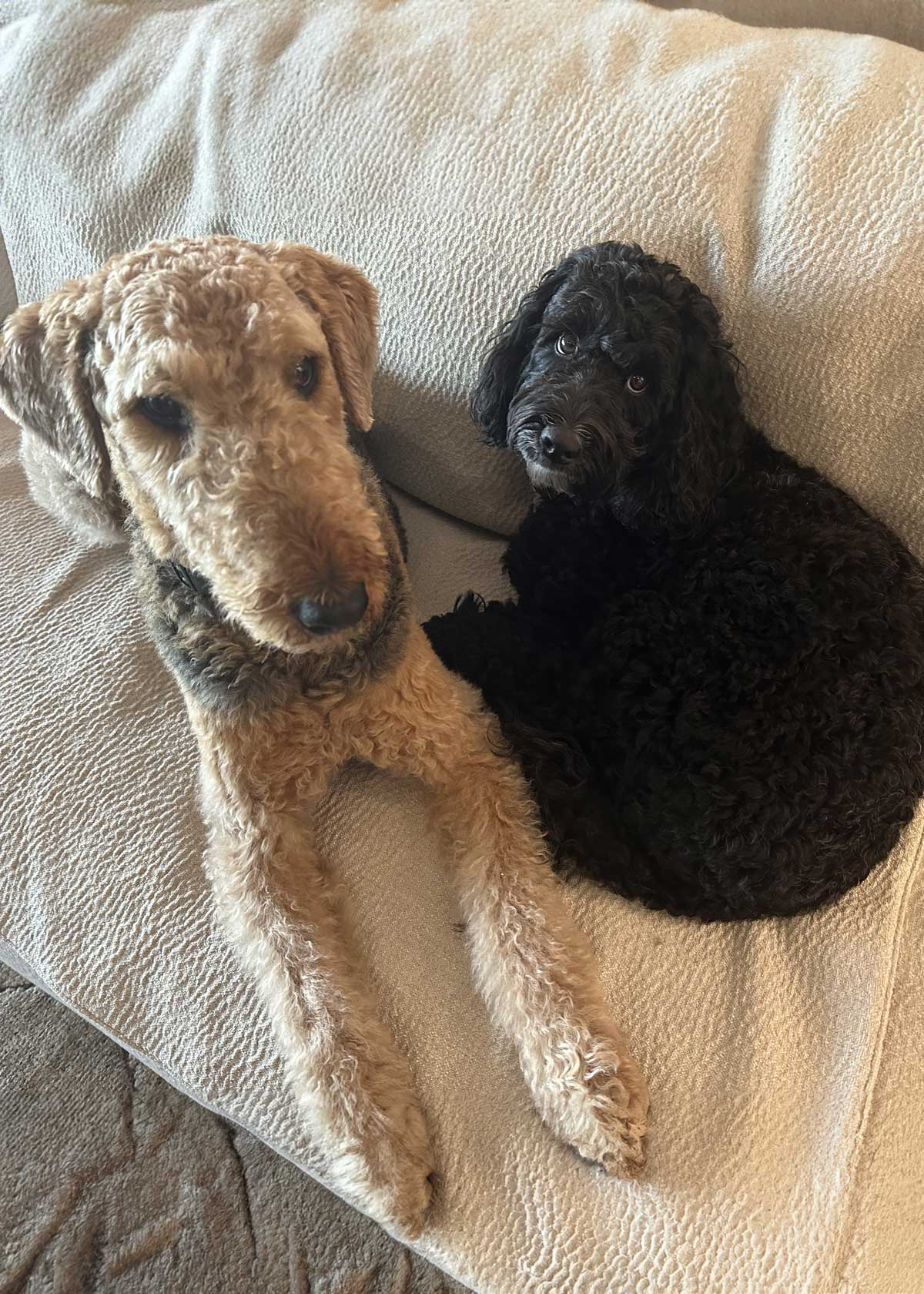 Bebe and Delia