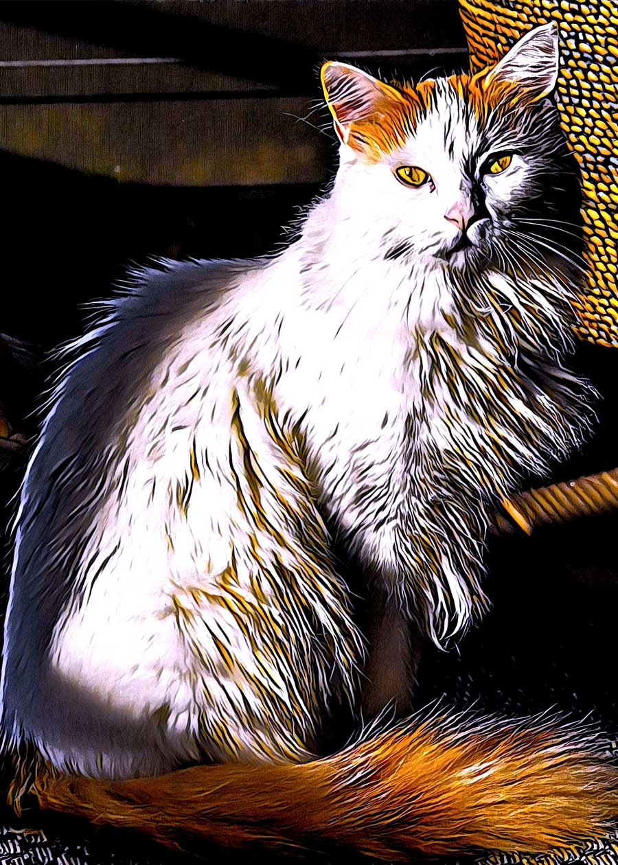 Loki