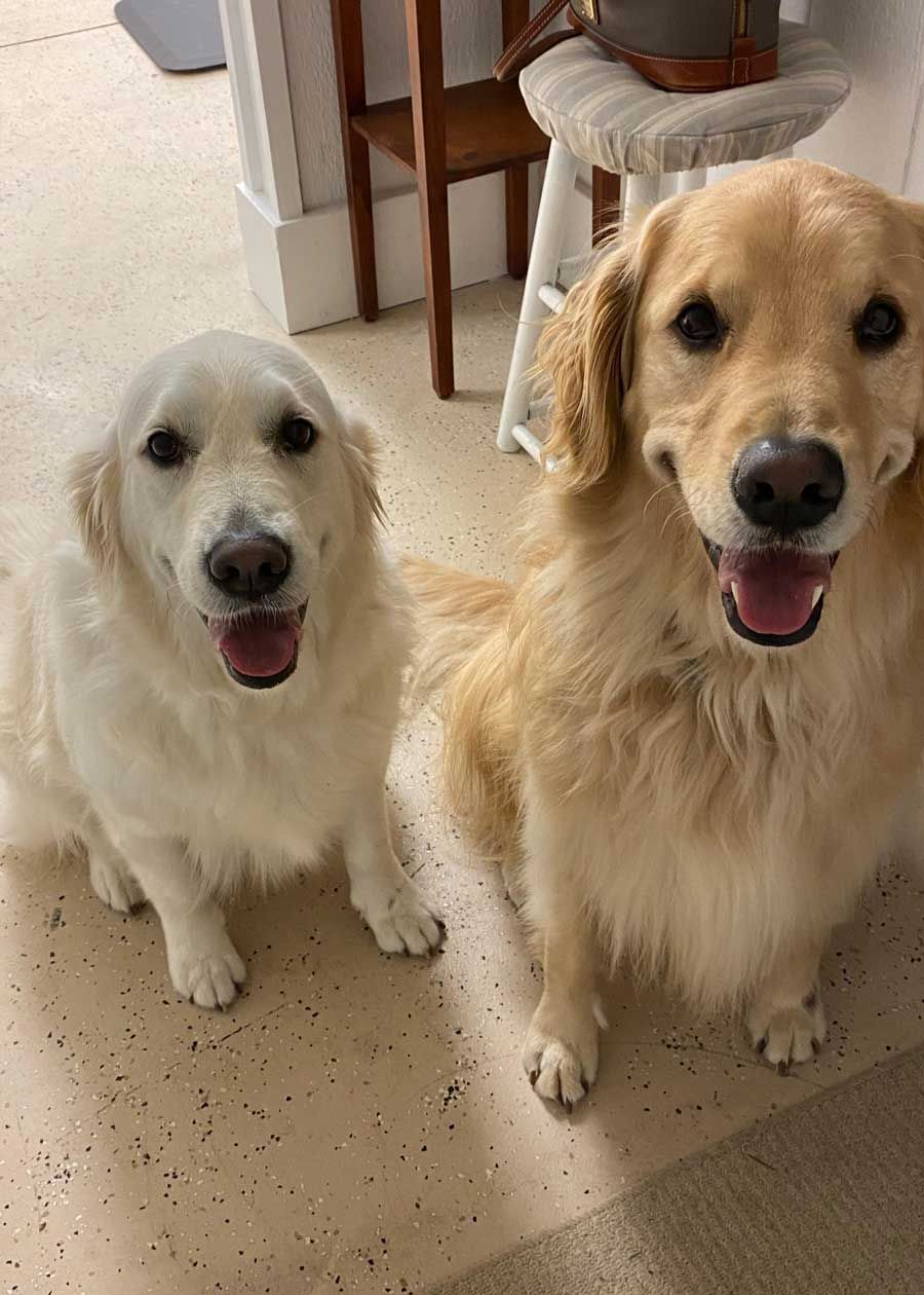Samson and Daisy