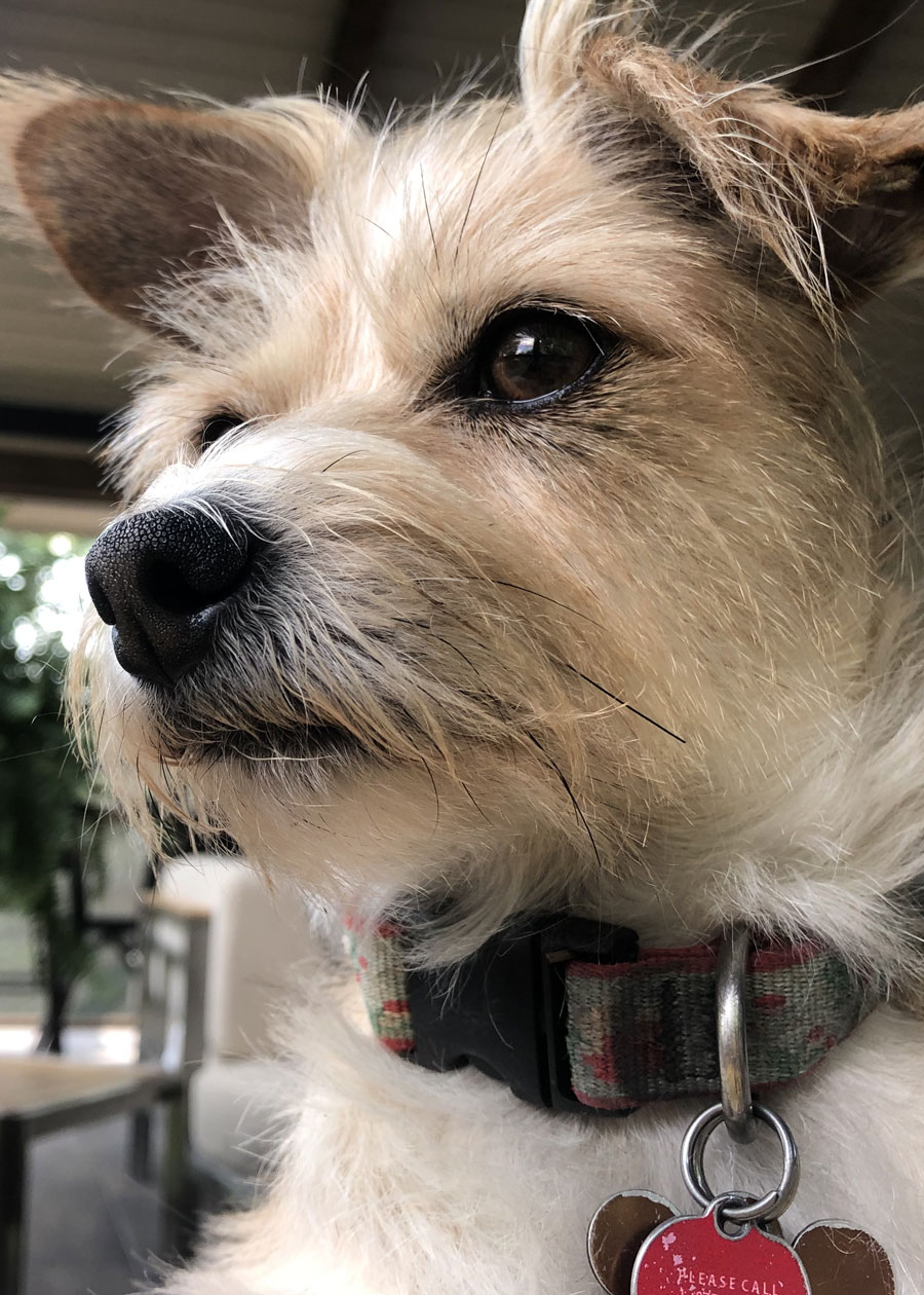 Molly