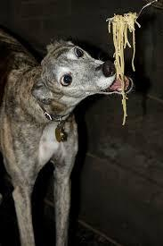 Learn to Make Pasta!