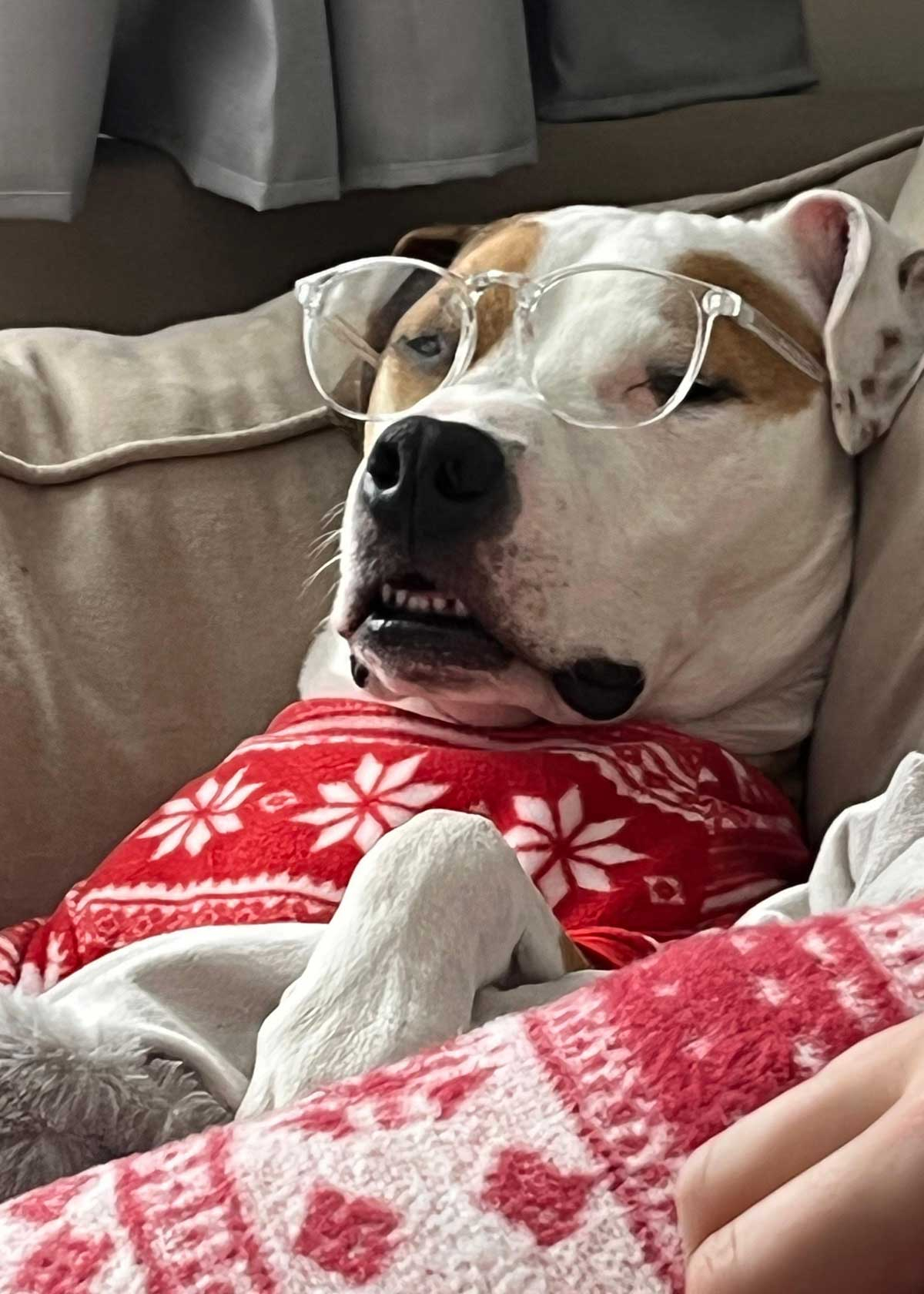 Cooper Stylin
