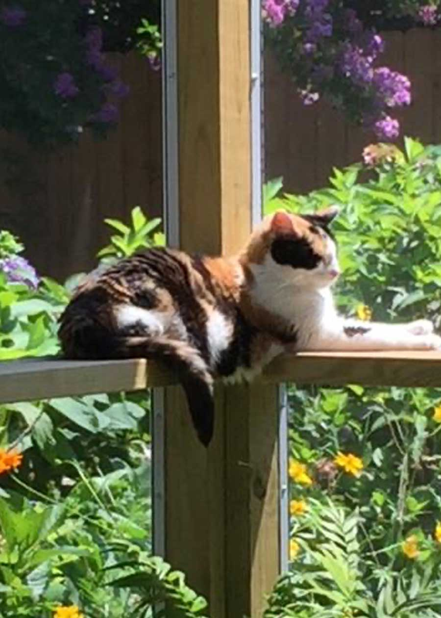 Zoe