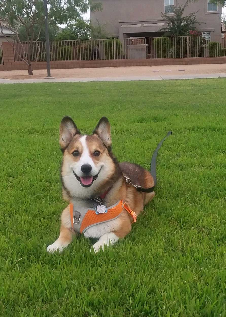 Max
