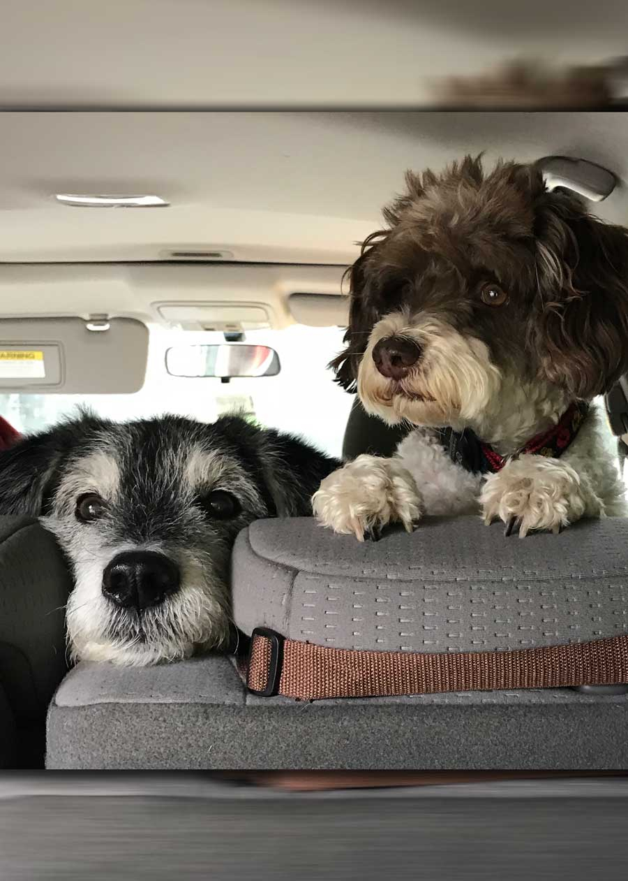 Wyatt and Doc