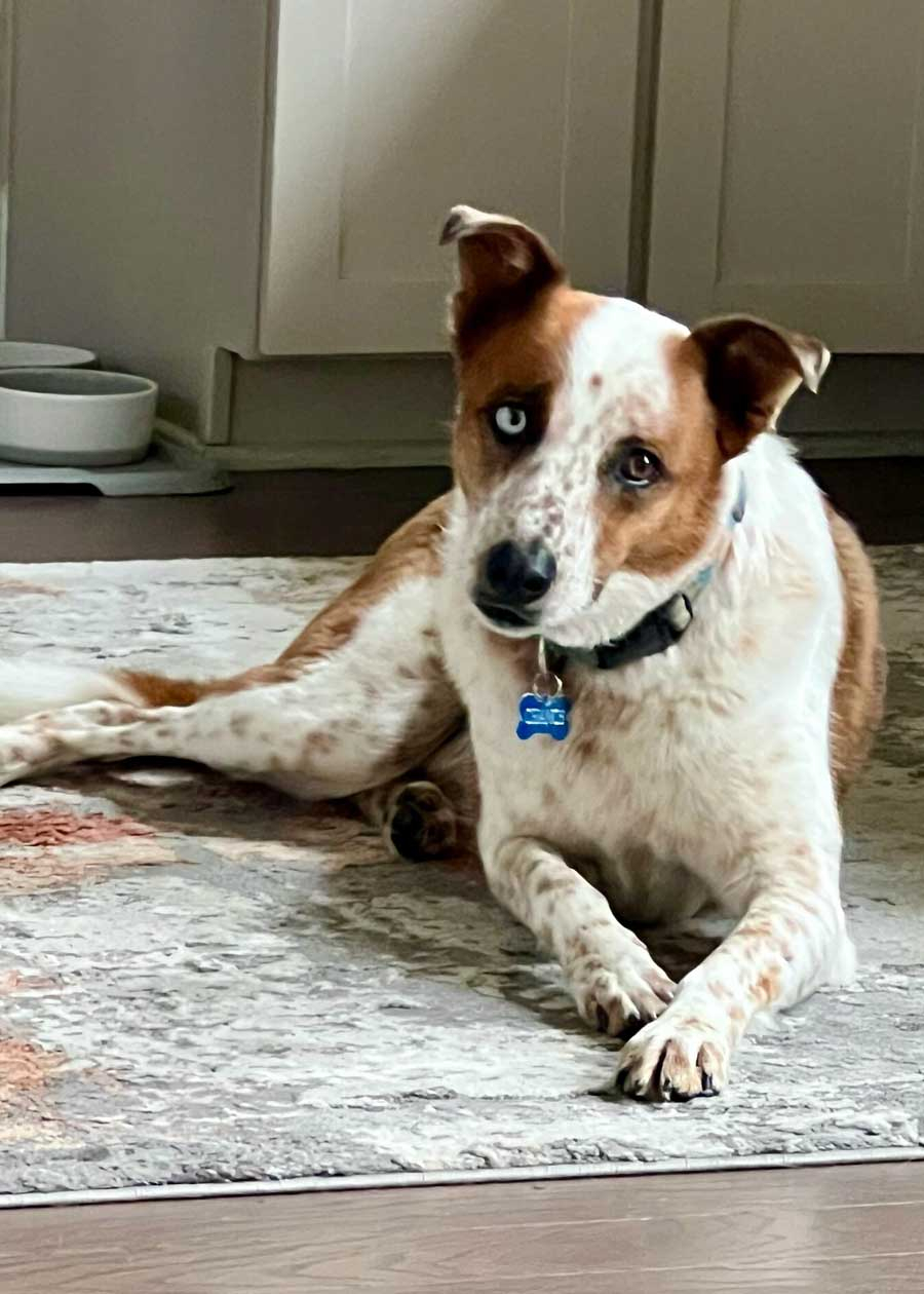 Chance