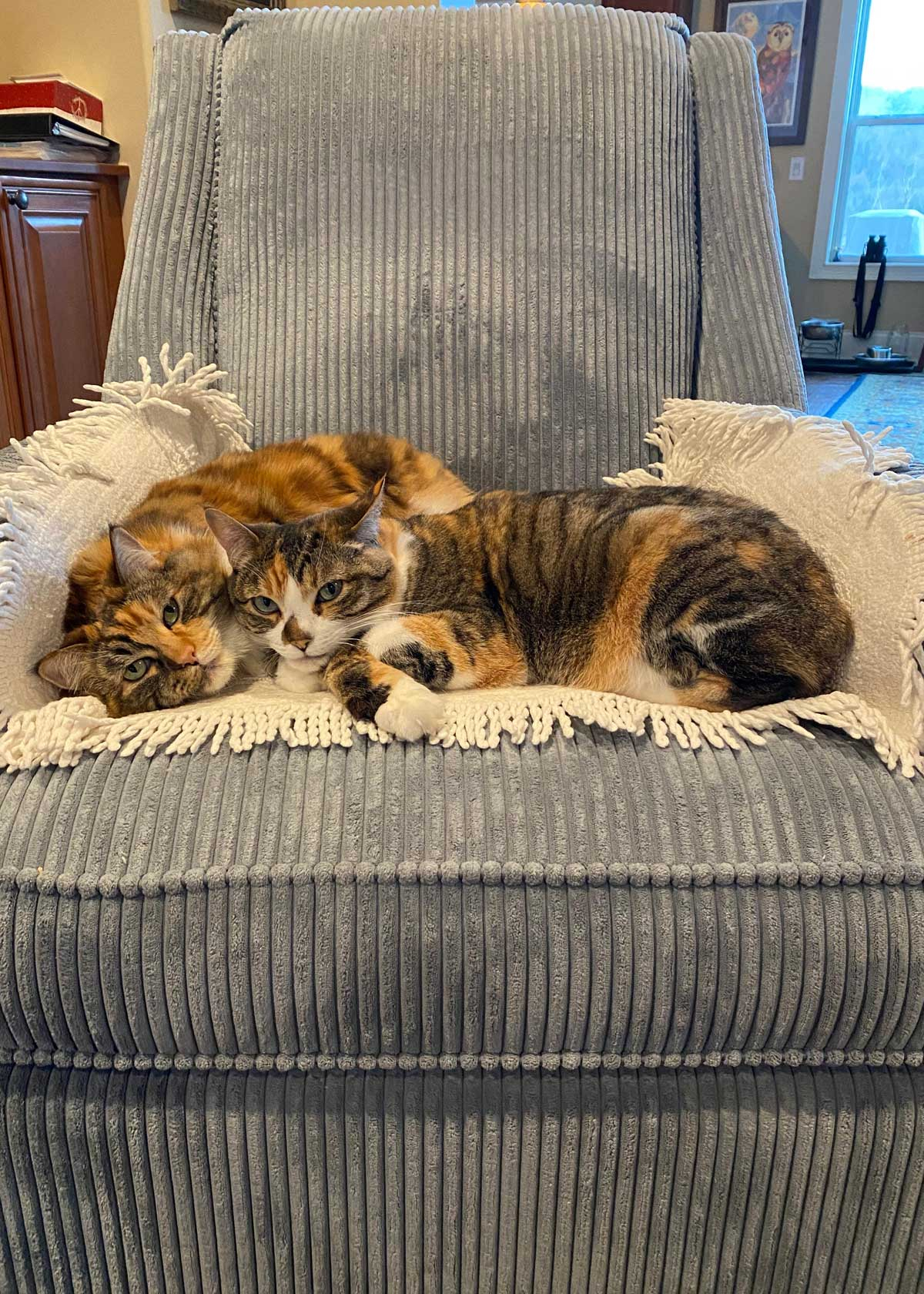 Charley and Lucy