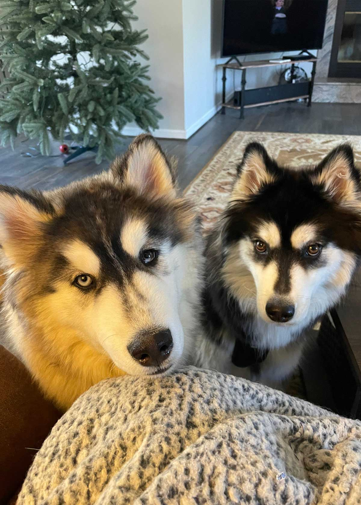 Sierra and Leo