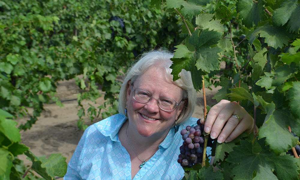 The Zen of Zin Tasting with Carol Shelton The Zen of Zin Tasting with Carol Shelton