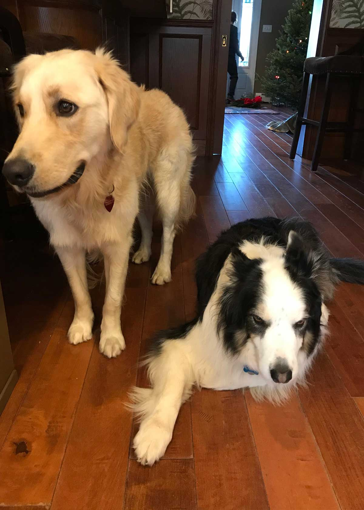 Isla