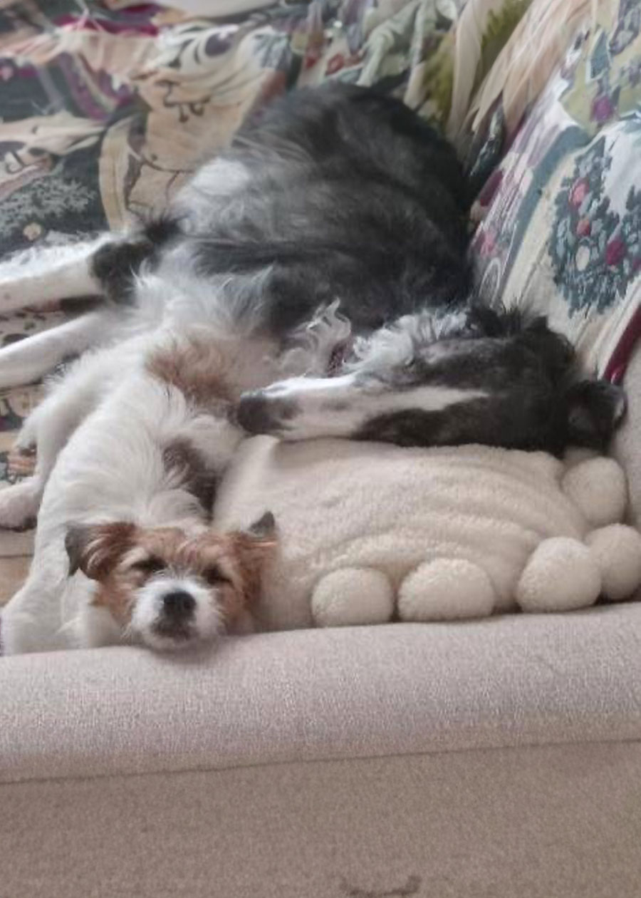 Bibi and Charlie