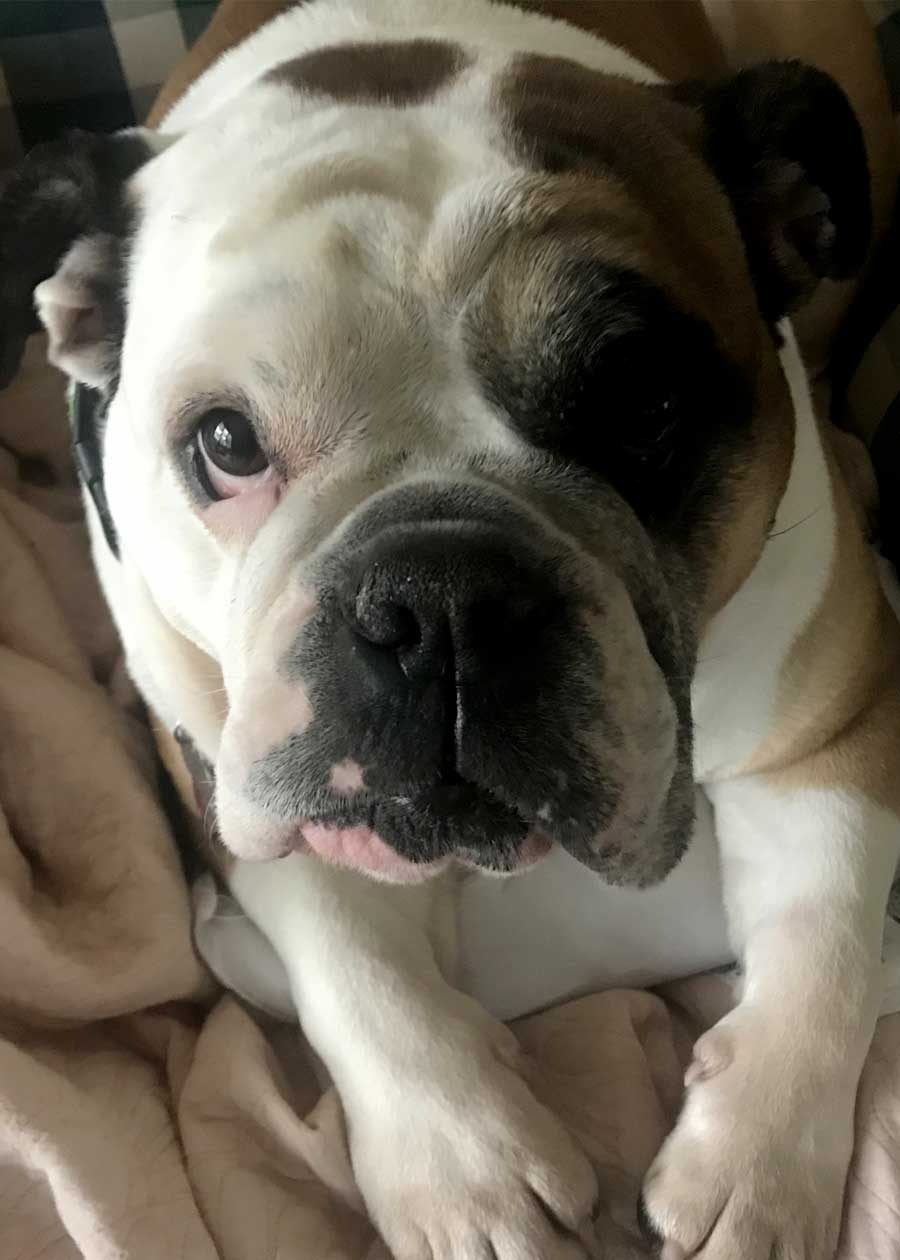 Boris