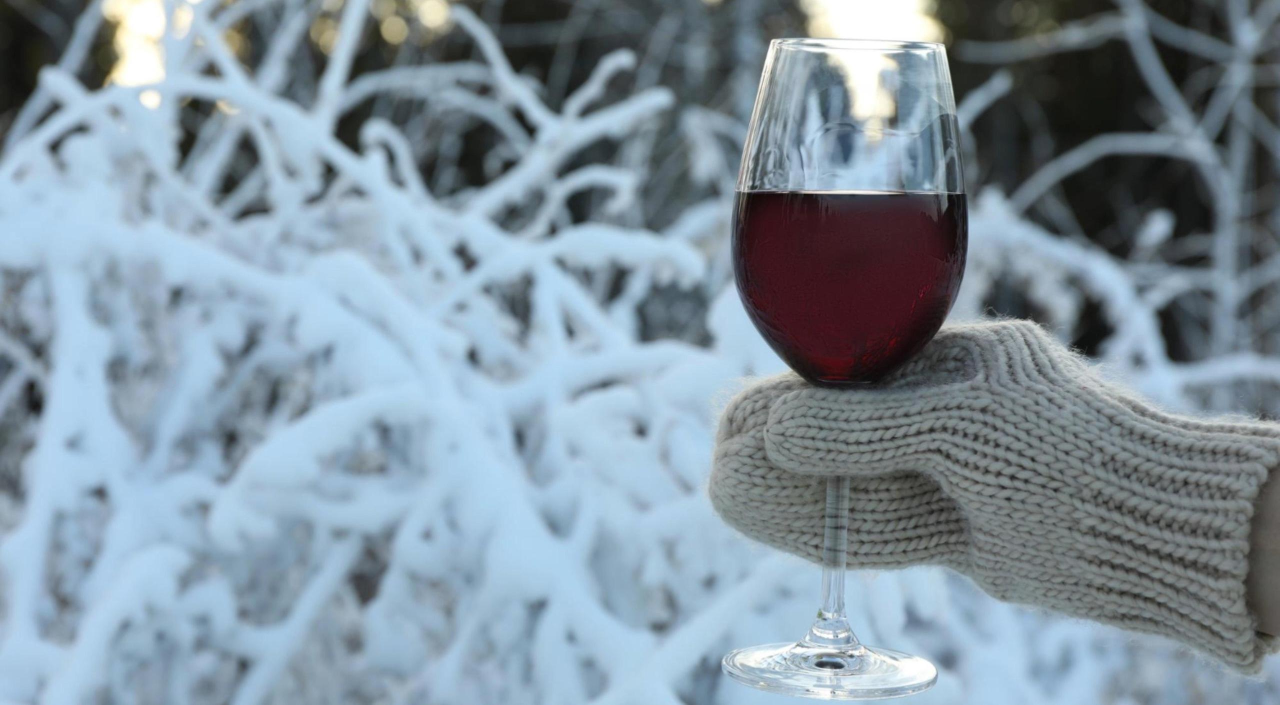 Winter Wine Storage: Protect Your Collection from Temperature Swings