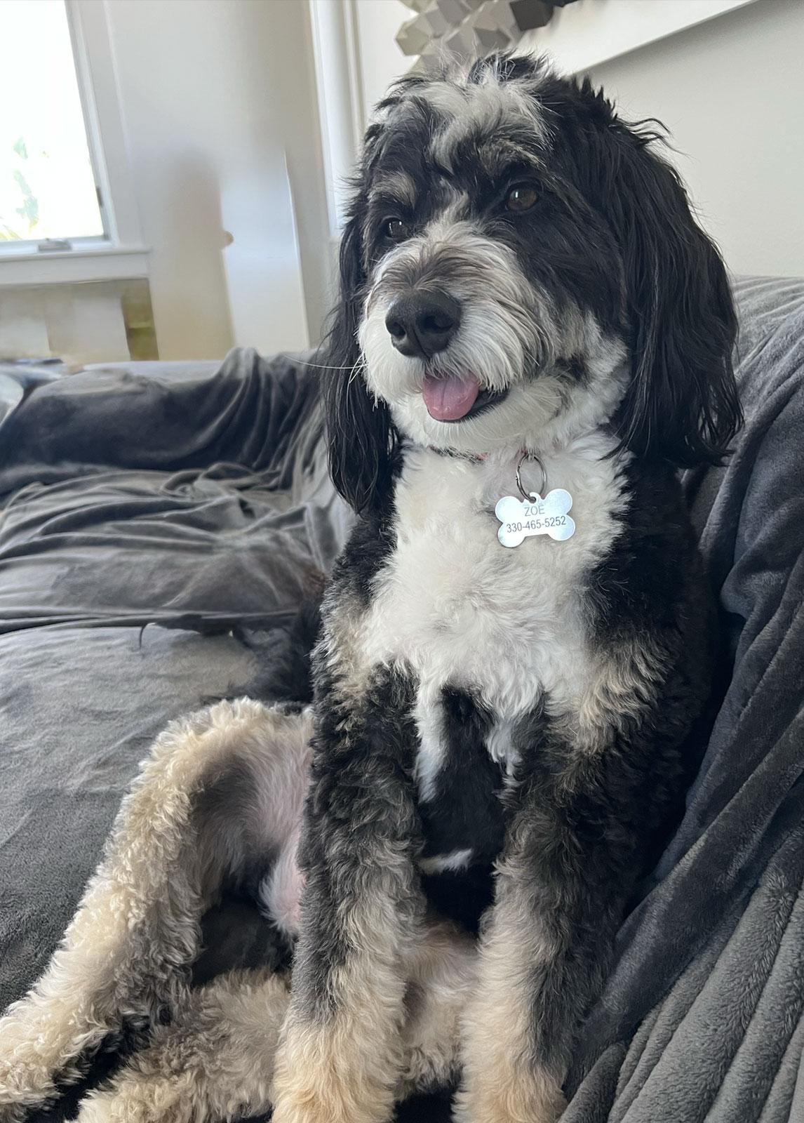 ZO&Euml;